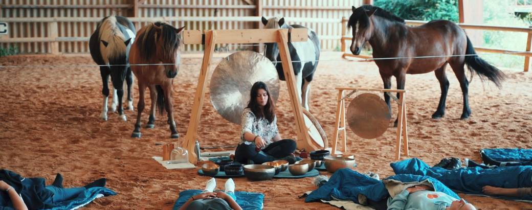 Stage | VIBRER AU RYTHME DES CHEVAUX ISLANDAIS