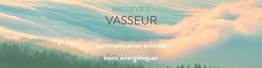 Stage communication animale à Lyon avec Alexandre Vasseur