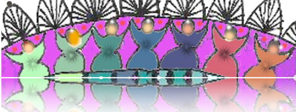 STAGE Corps Voix et Créativité