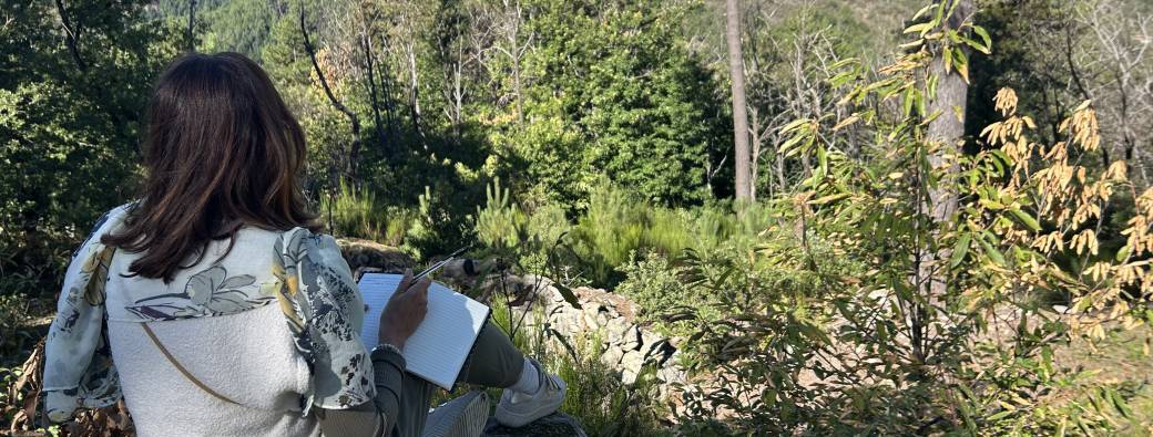 Stage Écriture créative & Bien-être, Automne