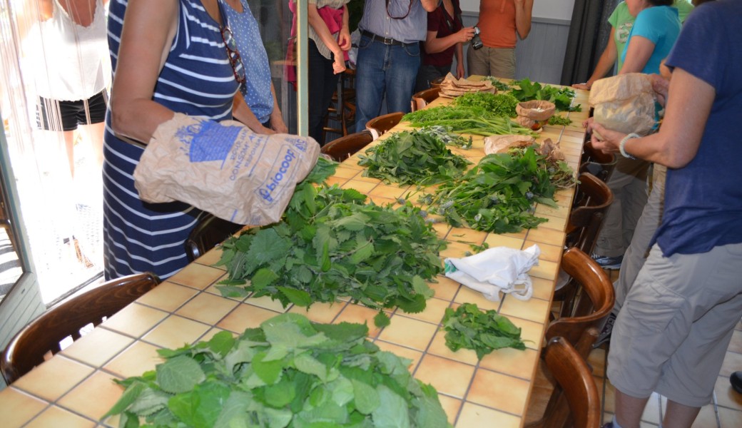 Stage Cuisine de plantes sauvages comestibles
