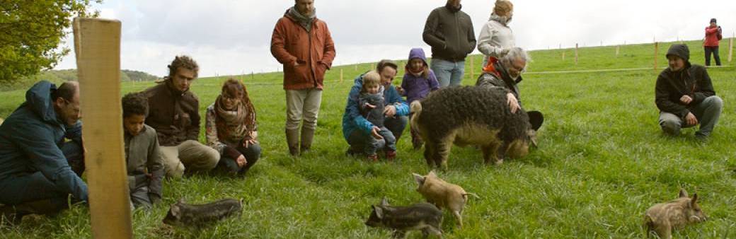 Stage d’introduction à la permaculture - Eric Luyckx