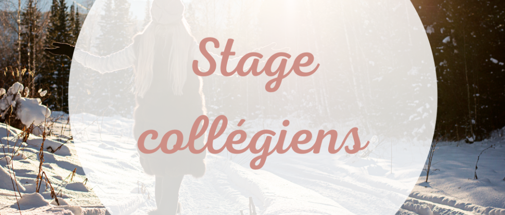 Stage d'anglais (Collège) du 15 au 17 février