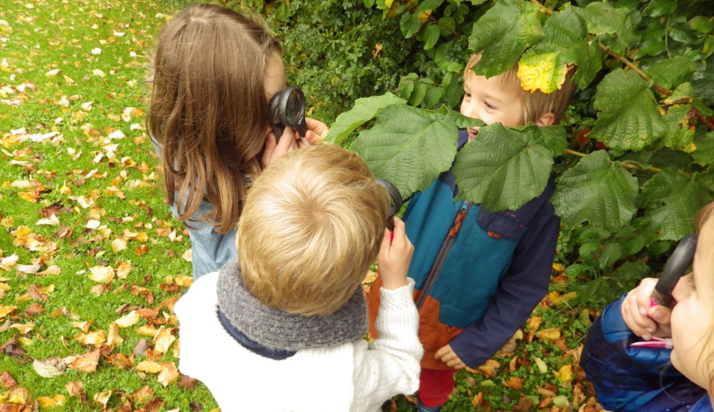 Stage nature - Merveilles d'automne (à p. de 8 ans)