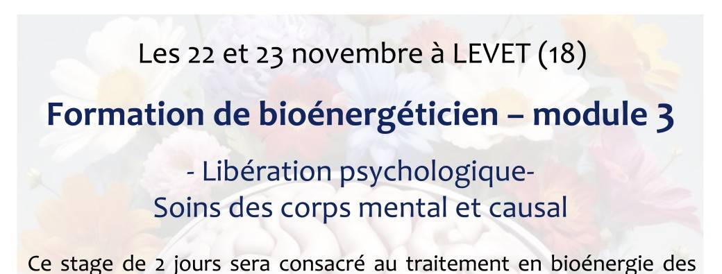Stage de bioénergie - module 3