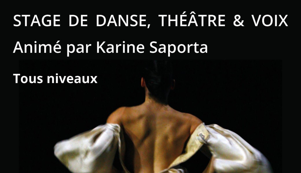 Stage de danse août 2024 Karine Saporta - Réservation pour 1 journée