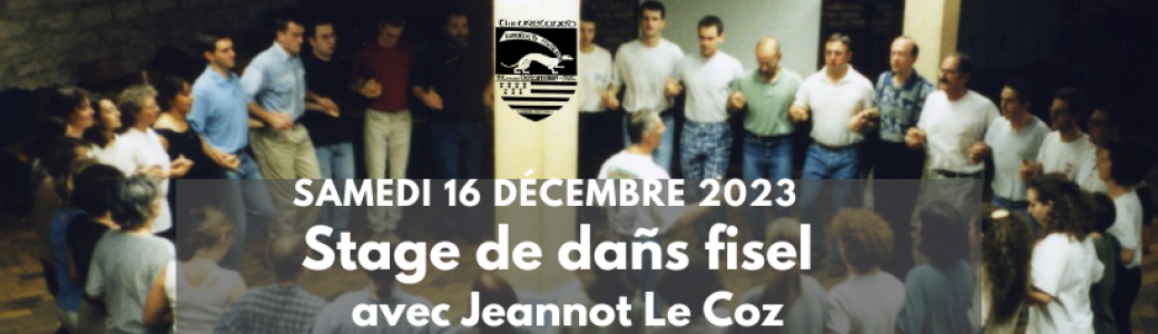 Stage de danse fisel