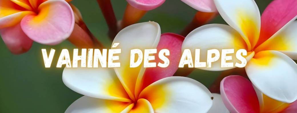 Stage de danse tahitienne (tous niveaux)