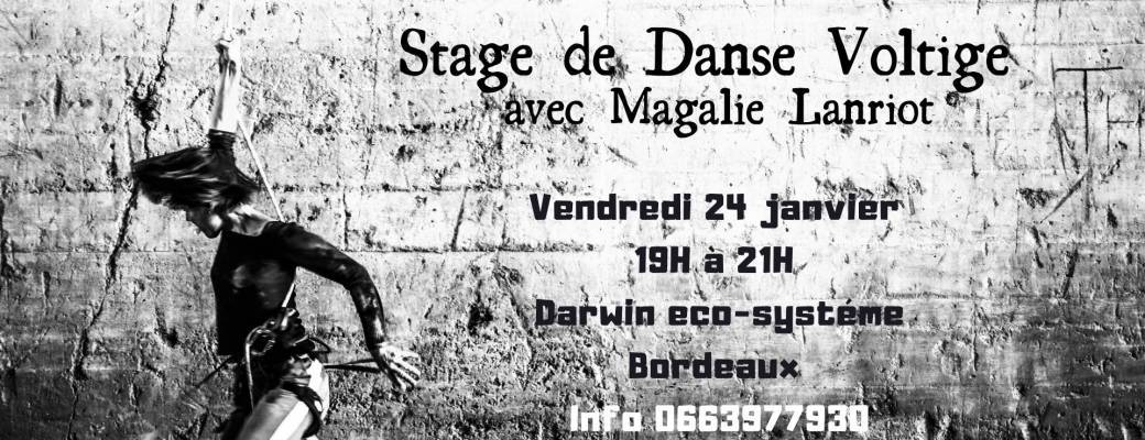 Stage de Danse Voltige 