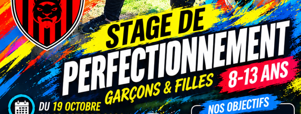 Stage de perfectionnement 