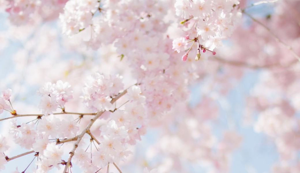 stage de printemps 2023