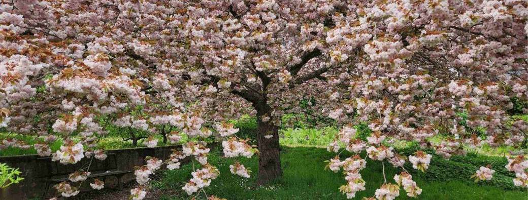 Stage de Qi Gong – 4 avril 2026 à Bièvres - ACTIVER L'ENERGIE DE VOTRE FOIE