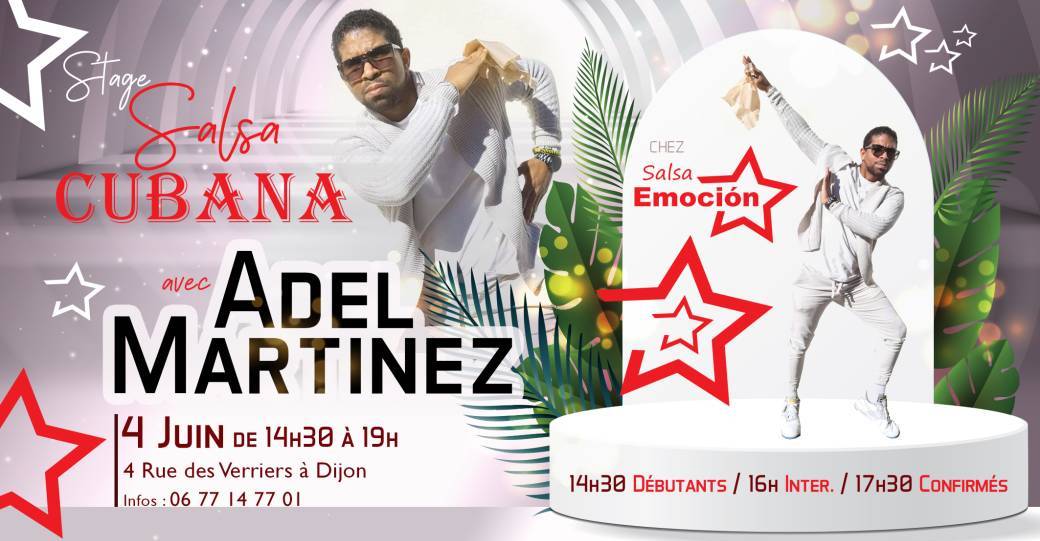 Stage de Salsa Cubana a Dijon avec ADEL Martinez 4 Juin