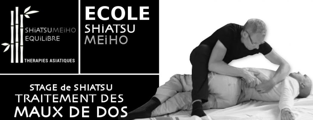 Stage de Shiatsu : diagnostic et traitement des maux de dos