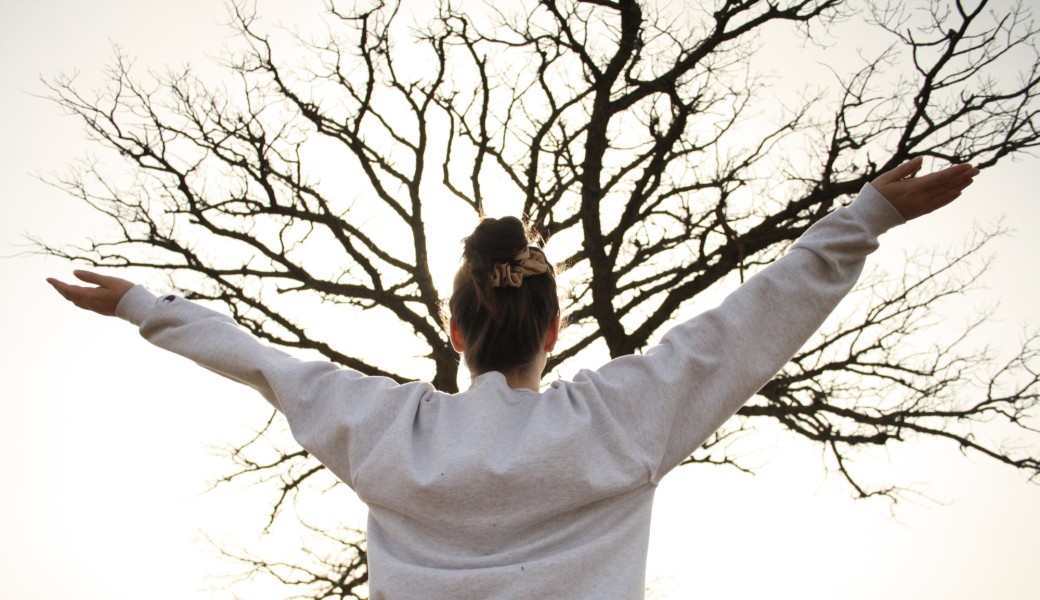 Stage de Tai chi QiGong