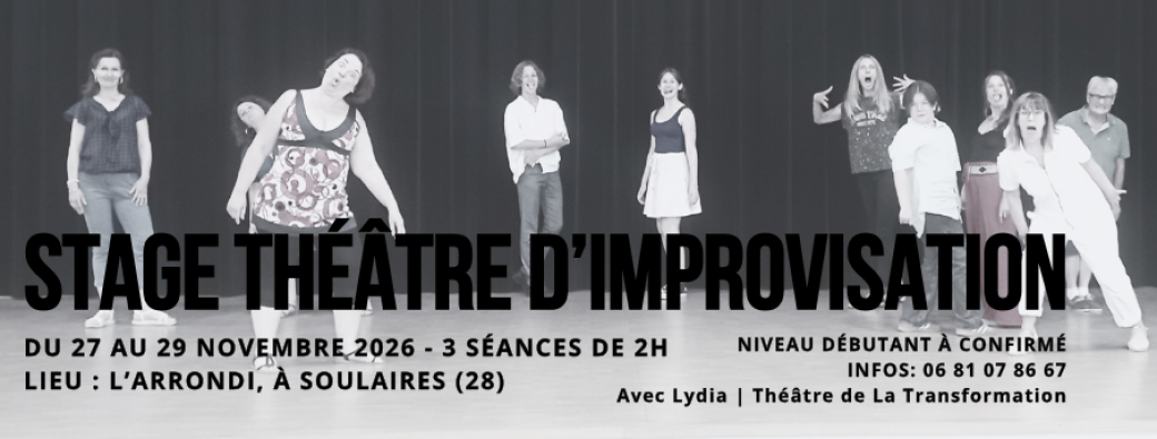 Stage de théâtre d'improvisation du 27 au 29/11/26