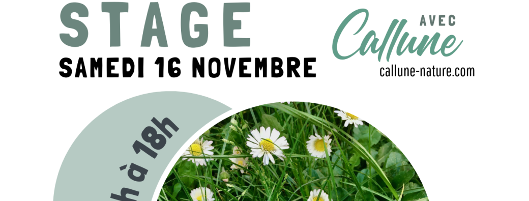 Stage de transmission - herboristerie, botanique & cosmétiques