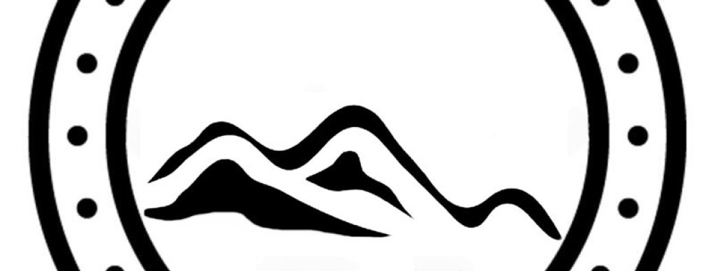 Stage de Vielle à Roue