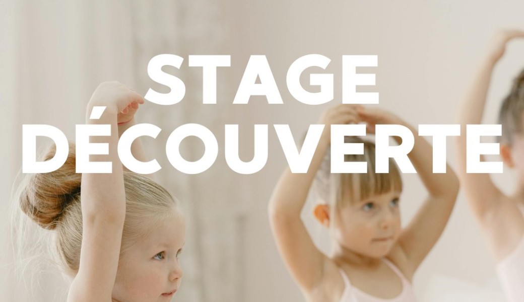 Stage Découverte