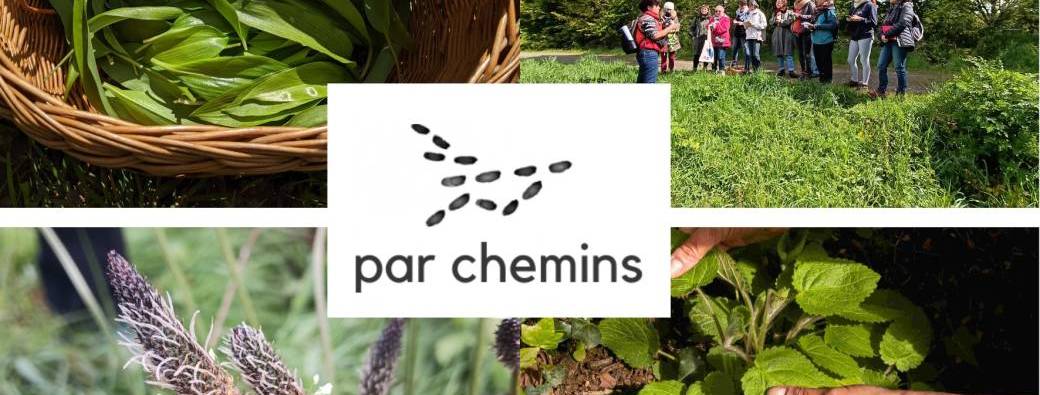 Stage d'immersion : gastronomie des plantes sauvages en Bretagne