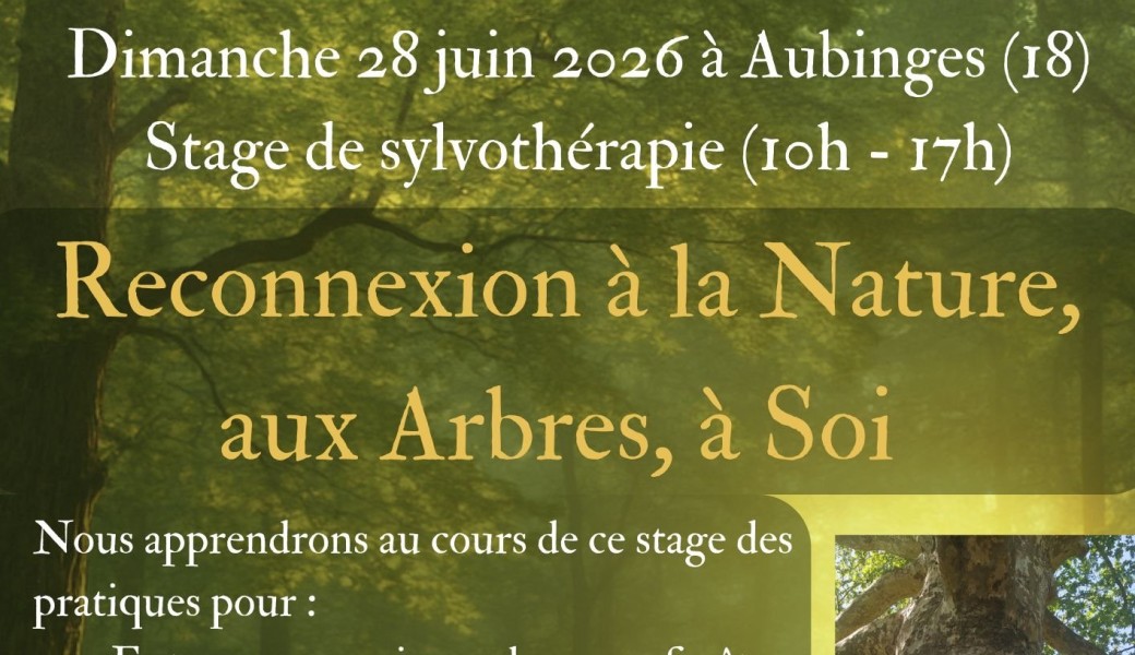 Stage d'initiation à la sylvothérapie