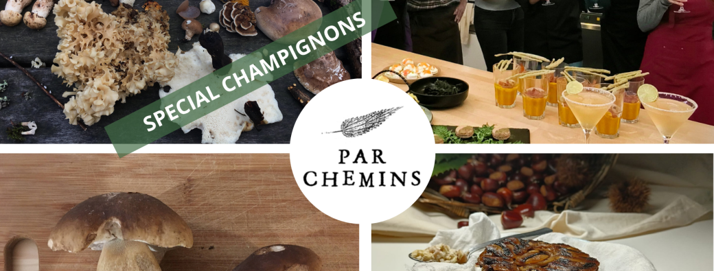 Stage d'une journée - Découvrez et cuisinez les champignons sauvages (Nantes)