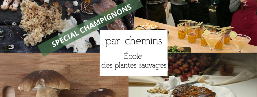 Stage d'une journée - Découvrez et cuisinez les champignons sauvages