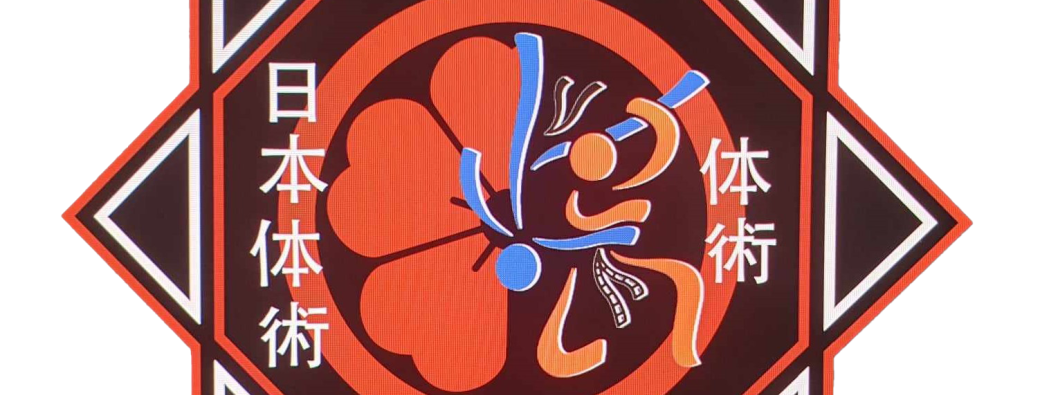 Stage été 2026 - Tai Jutsu Ryu