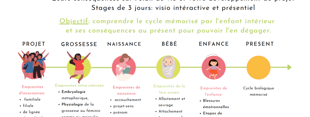 Stage Expertise Mémoires & EPPN