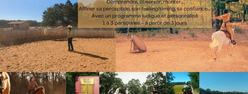 Stage "Femme ou homme de cheval"