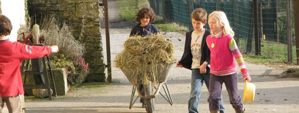 Stage - Ferme (7 - 9 ans)