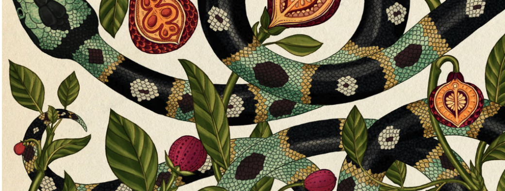 stage atelier serpent