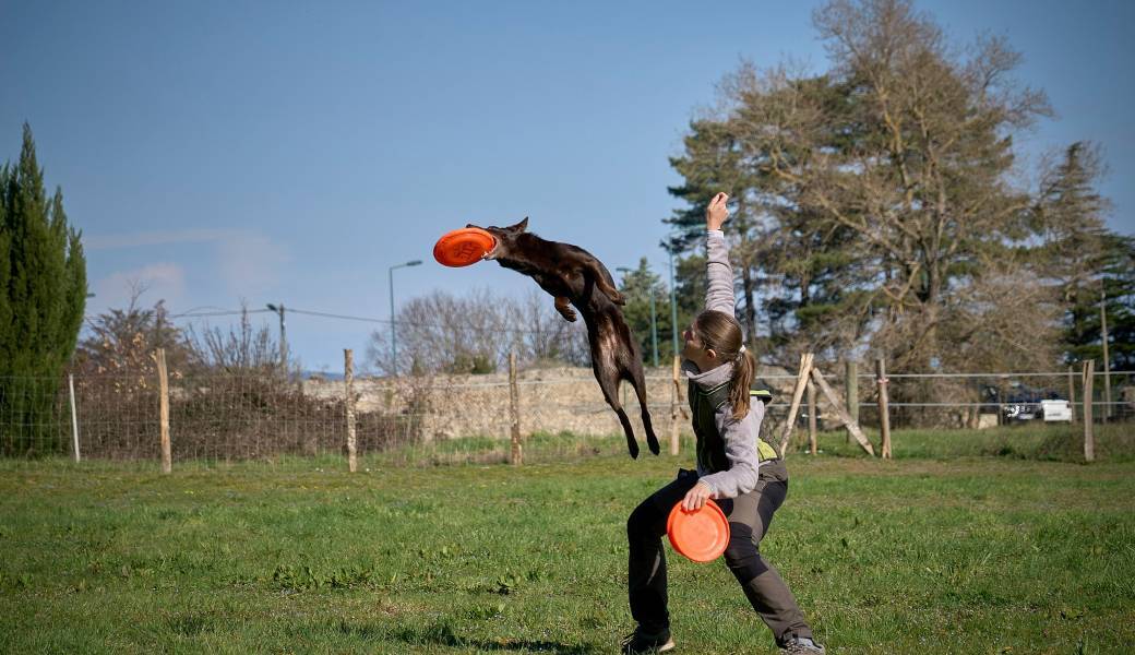 Stage frisbee tous niveau 13-14 mai 2026