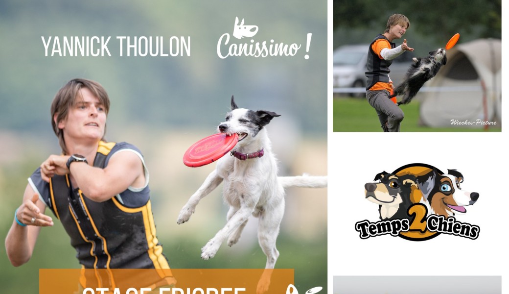 Stage frisbee tous niveaux