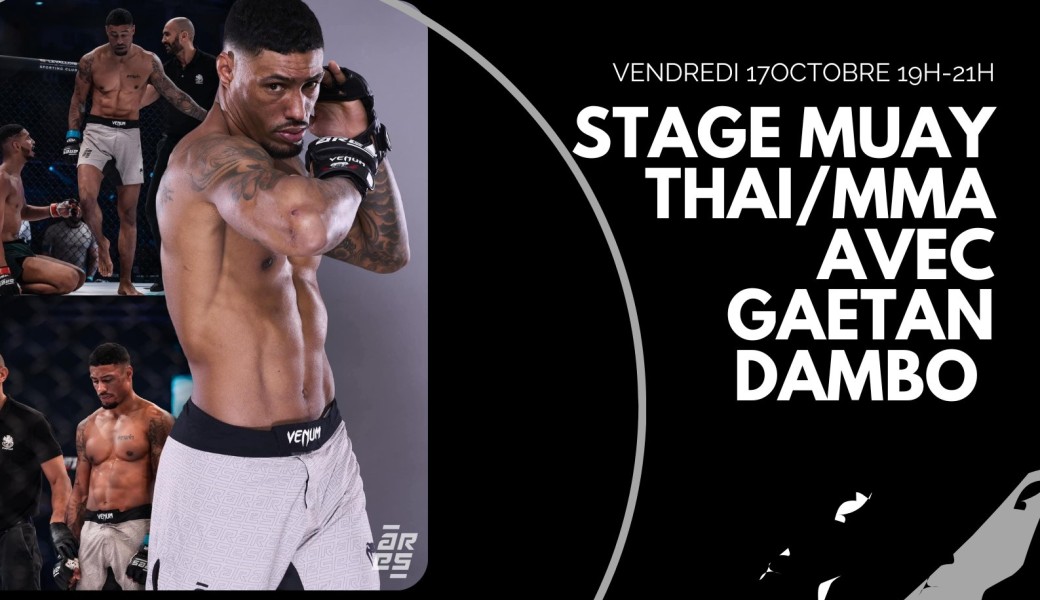 Stage gaetan dambo
