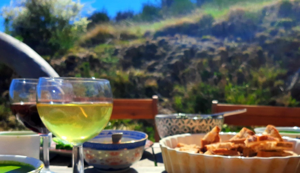 Stage gastronomie sauvage et pharmacie familiale en forêt de Tronçais (Allier)