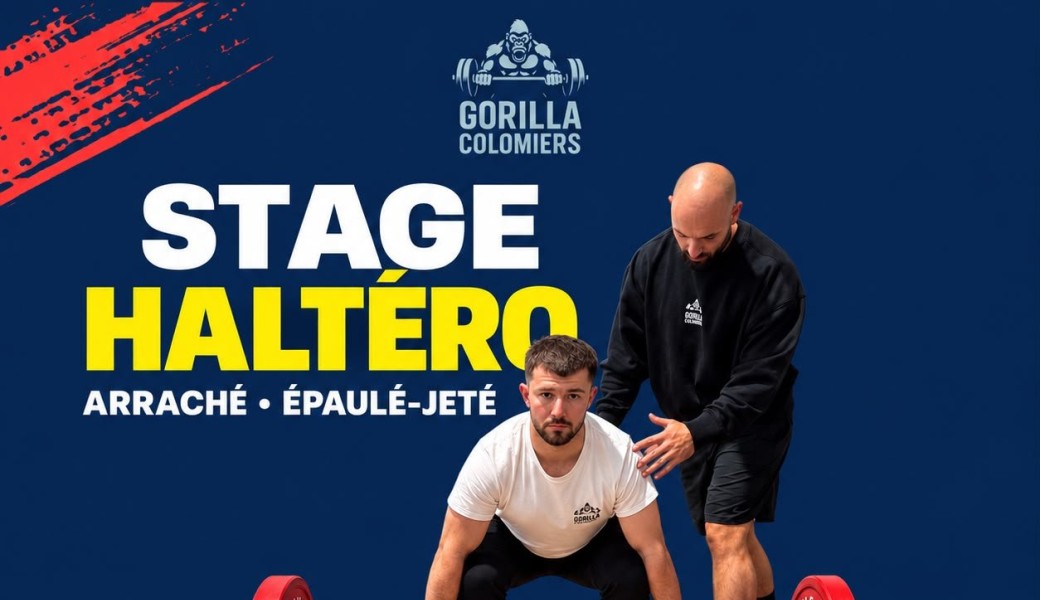Stage Haltéro - Max Training & Gorilla