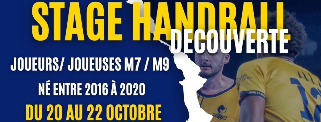 Stage Handball Découverte 2016 à 2020  (20 au 22 octobre)
