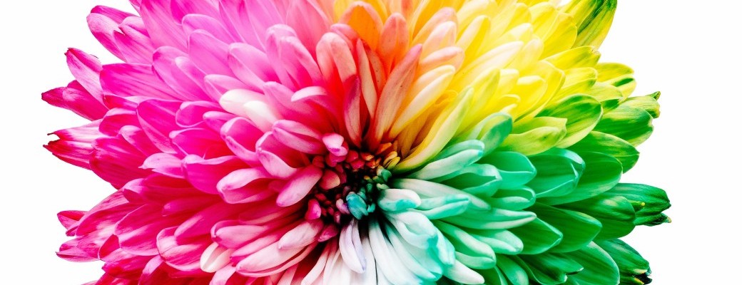 Stage immersif – Rencontre avec ton Enfant Intérieur