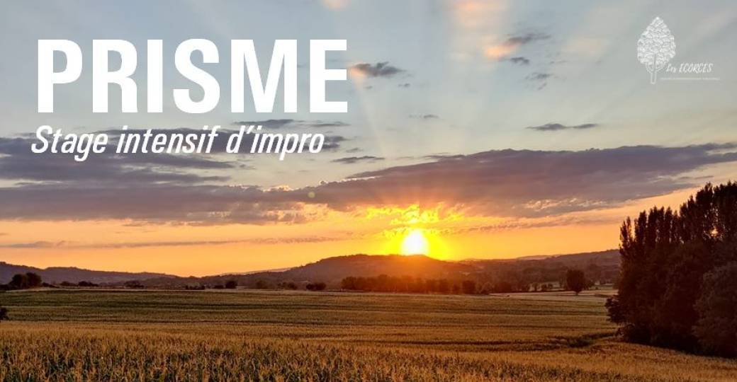 Stage intensif d'été - Prisme