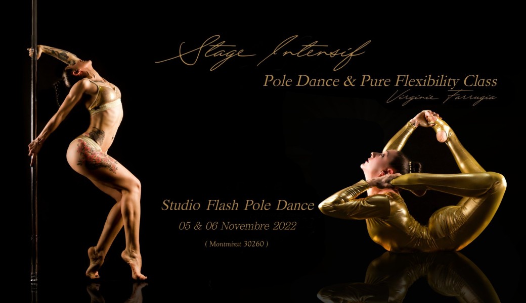 Stage intensif Pole Dance & Pure Flexibility Class