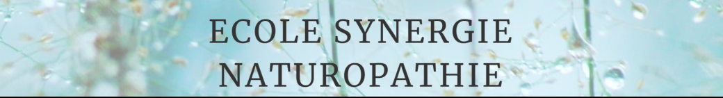 Stage Iridologie _ Toulouse _ 2 jours