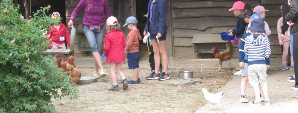 Stage - "je découvre la Ferme" (3 - 6 ans)