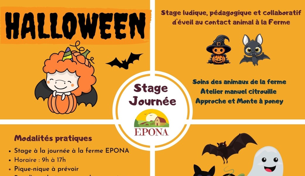 Stage Journée à la ferme - Automne 2023