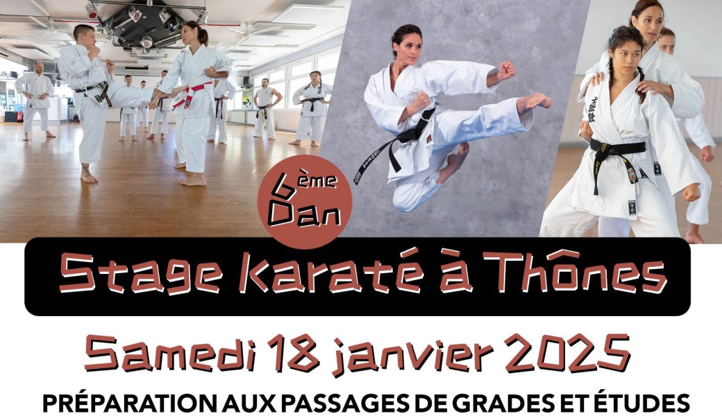 Stage Karaté à Thônes