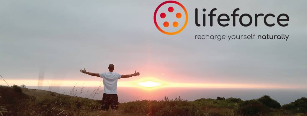 Stage LifeForce Ascension, nouvel an avec David Tan