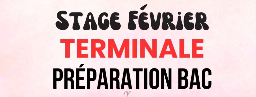 Stage Maths TERMINALE Février (9 heures)