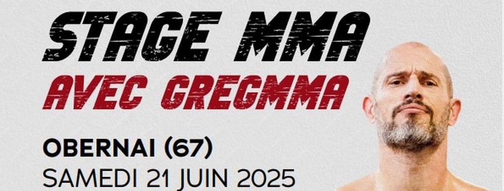 Stage MMA avec GregMMA