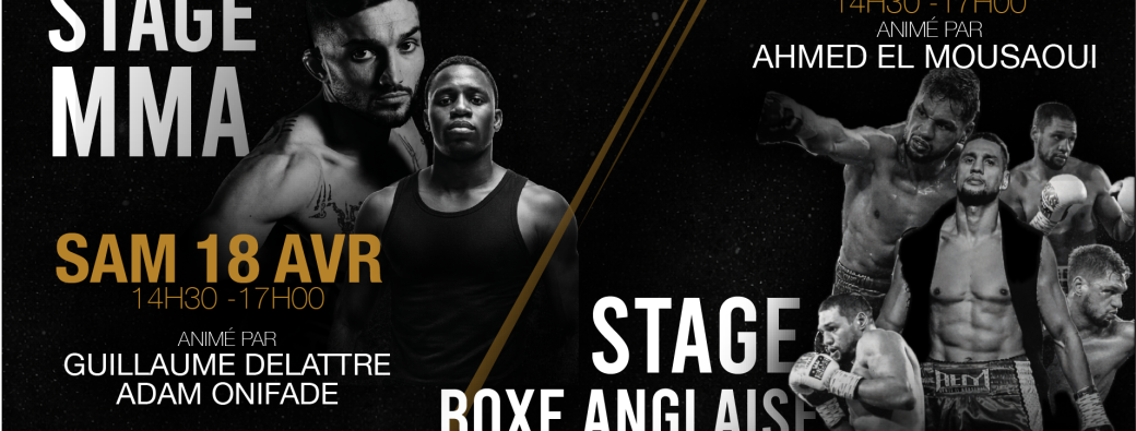 STAGE MMA & BOXE ANGLAISE