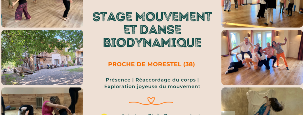 Stage Mouvement et Danse biodynamique 
